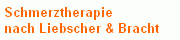 Schmerztherapie 
 nach Liebscher & Bracht