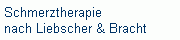 Schmerztherapie 
 nach Liebscher & Bracht
